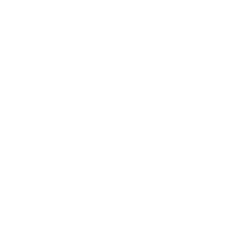 ��������ʦ